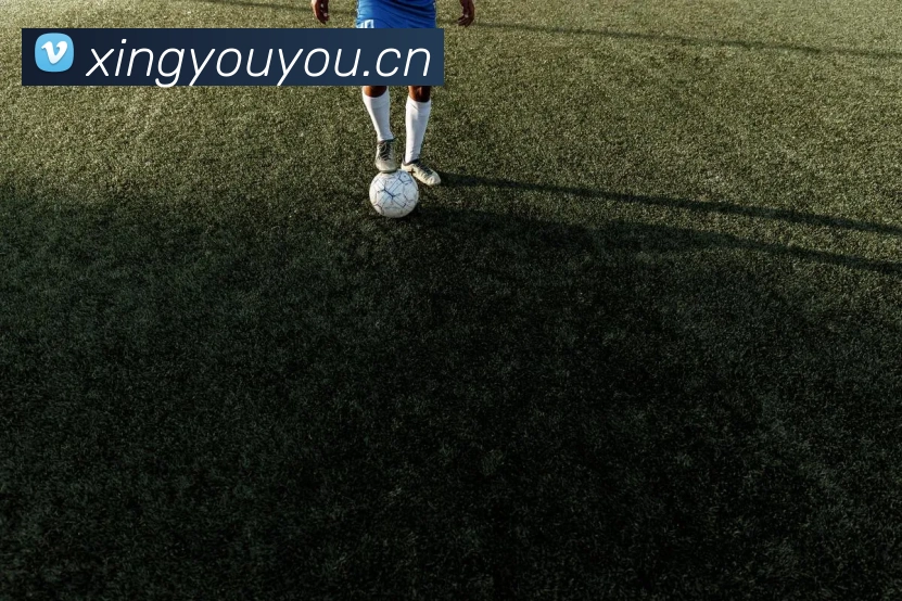 leyu乐鱼官方网站平台生态图